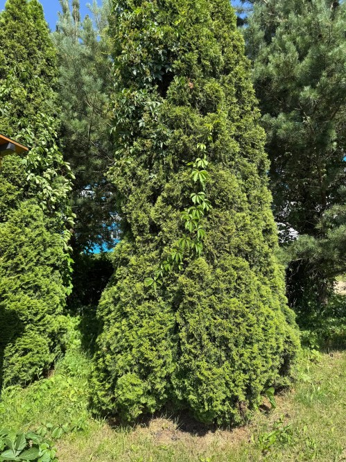 photo_2025-12-31_15-01-18